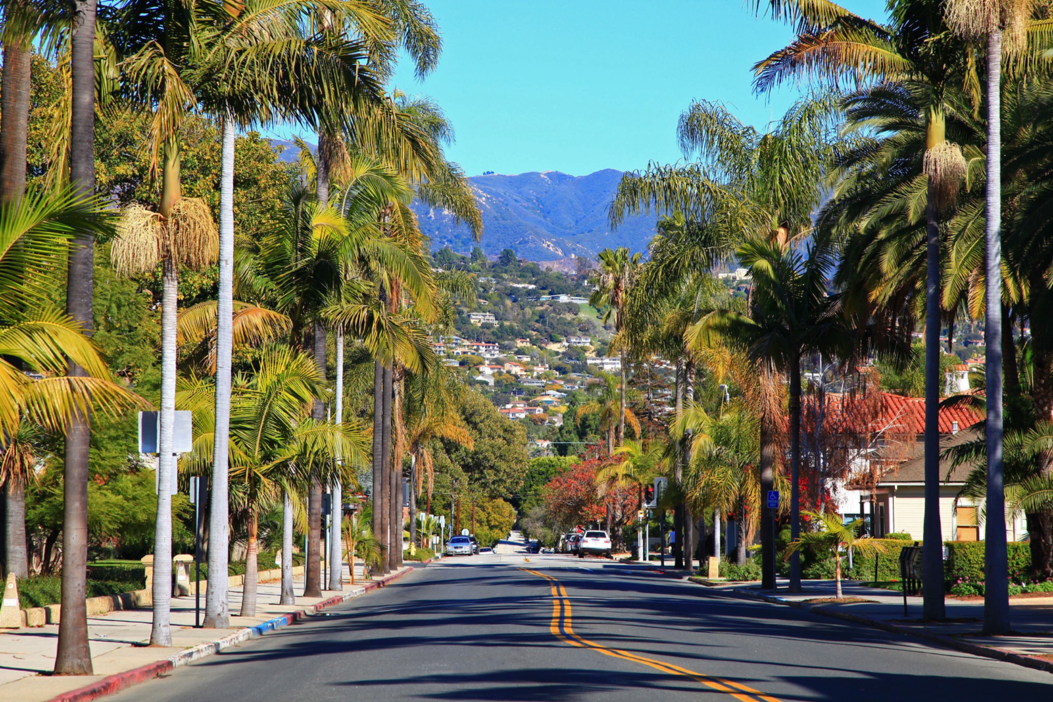 Palm tree-lined street in sunny California hillside neighborhood with mountains in background