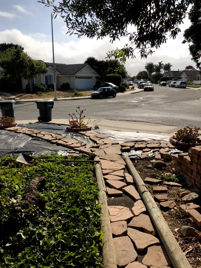 Residential suburban street with stone pathway, houses, parked cars, and landscaping